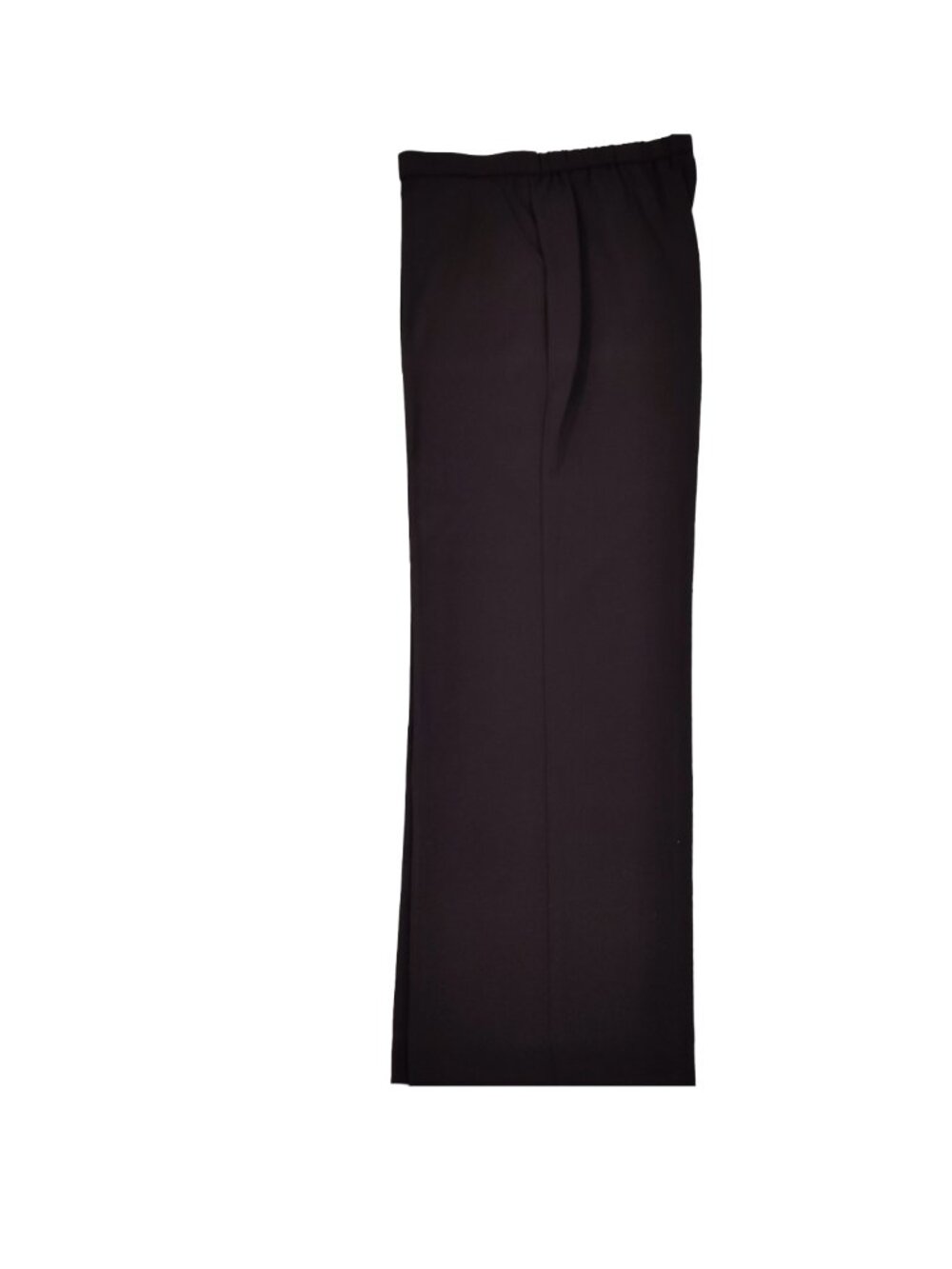 Briggs Petite Women 's Size 12P Navy Blue Pants
